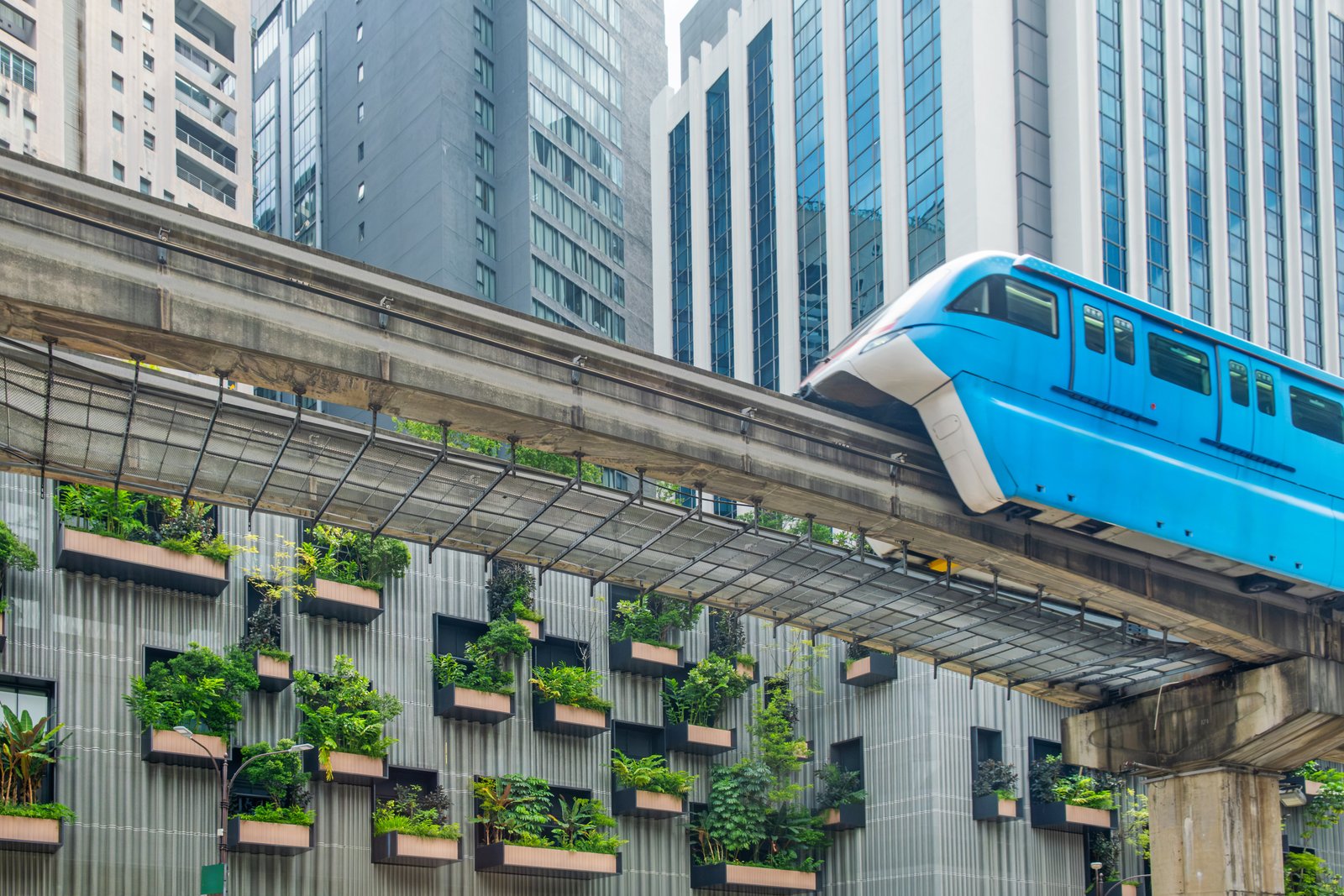 A blue monorail travelling above a city street beside buildings with planted terraces