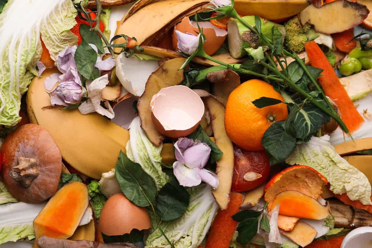 Reducing Food Waste Strategies For A Sustainable Future World