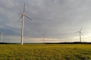 Windmills in a field