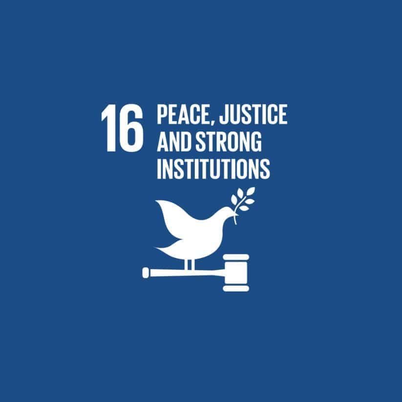 SDG 16: Peace, Justice, and Strong Institutions