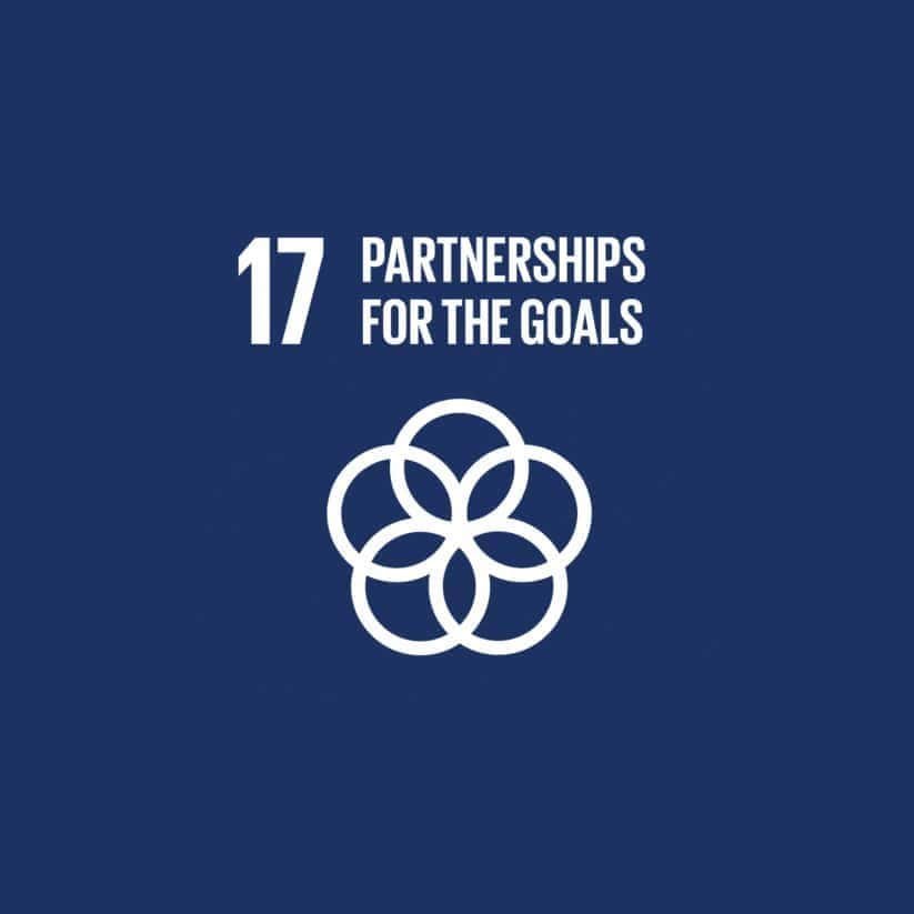 SDG 17: Partnerships for the Goals