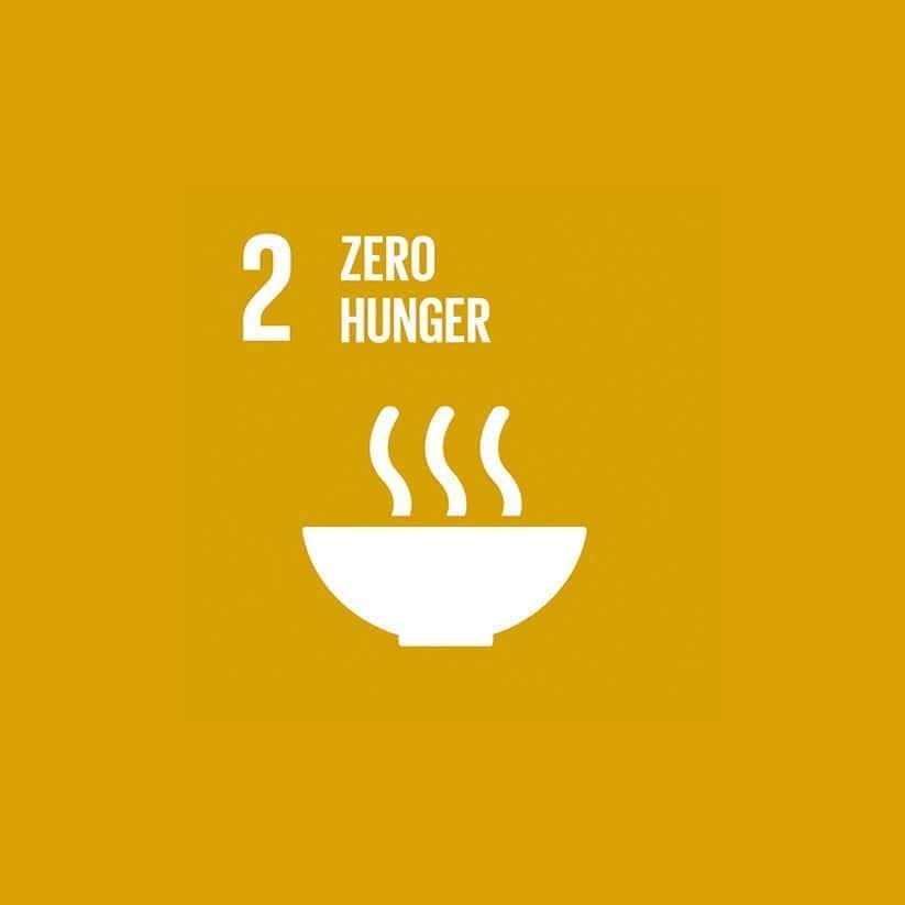 SDG 2: Zero Hunger