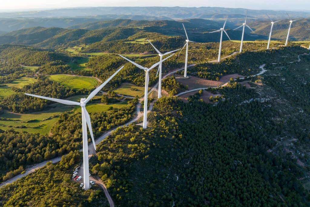 A year-round celebration